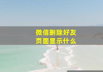 微信删除好友页面显示什么