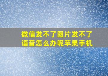 微信发不了图片发不了语音怎么办呢苹果手机