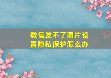 微信发不了图片设置隐私保护怎么办