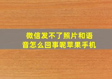 微信发不了照片和语音怎么回事呢苹果手机