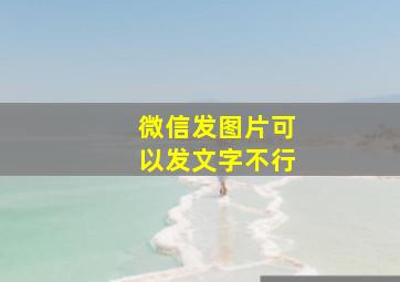 微信发图片可以发文字不行