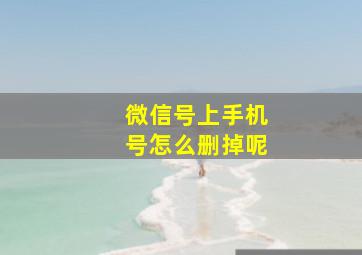 微信号上手机号怎么删掉呢