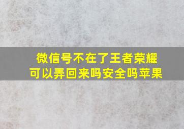 微信号不在了王者荣耀可以弄回来吗安全吗苹果