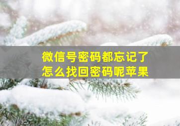 微信号密码都忘记了怎么找回密码呢苹果