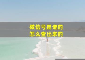 微信号是谁的怎么查出来的