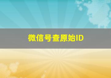 微信号查原始ID