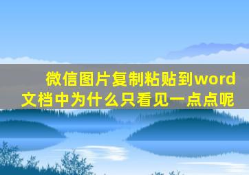 微信图片复制粘贴到word文档中为什么只看见一点点呢