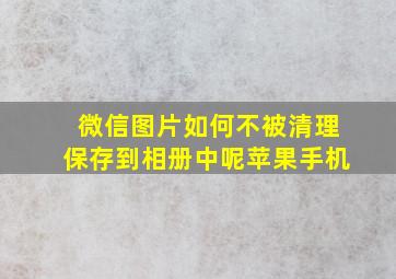 微信图片如何不被清理保存到相册中呢苹果手机