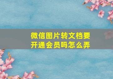 微信图片转文档要开通会员吗怎么弄