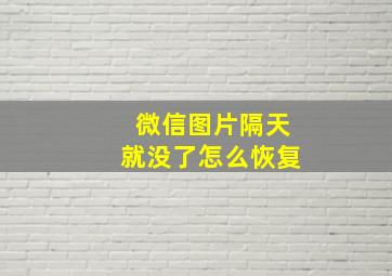 微信图片隔天就没了怎么恢复