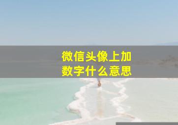 微信头像上加数字什么意思