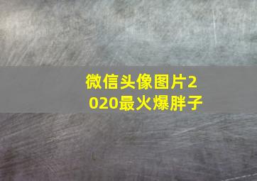 微信头像图片2020最火爆胖子