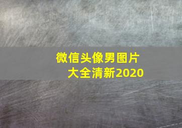 微信头像男图片大全清新2020