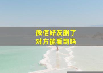 微信好友删了对方能看到吗