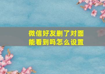 微信好友删了对面能看到吗怎么设置