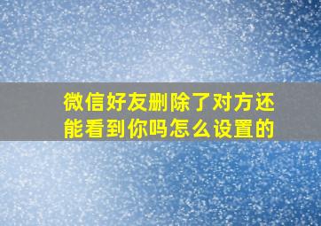 微信好友删除了对方还能看到你吗怎么设置的