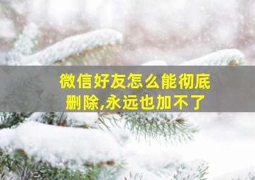 微信好友怎么能彻底删除,永远也加不了