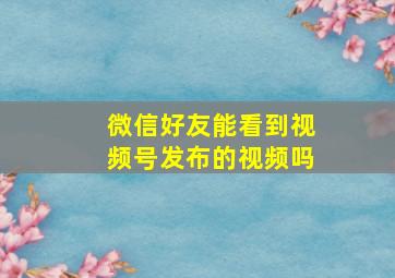 微信好友能看到视频号发布的视频吗