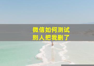 微信如何测试别人把我删了