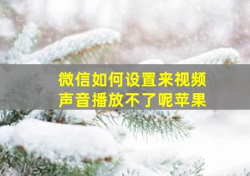 微信如何设置来视频声音播放不了呢苹果