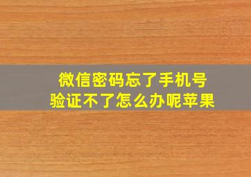 微信密码忘了手机号验证不了怎么办呢苹果