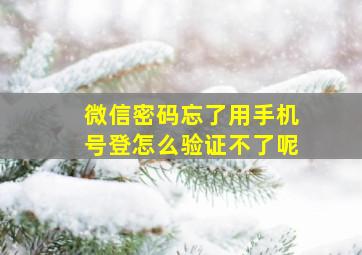 微信密码忘了用手机号登怎么验证不了呢