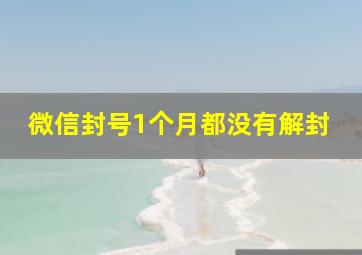 微信封号1个月都没有解封