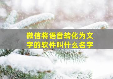 微信将语音转化为文字的软件叫什么名字