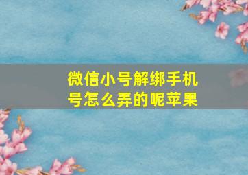 微信小号解绑手机号怎么弄的呢苹果