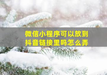 微信小程序可以放到抖音链接里吗怎么弄