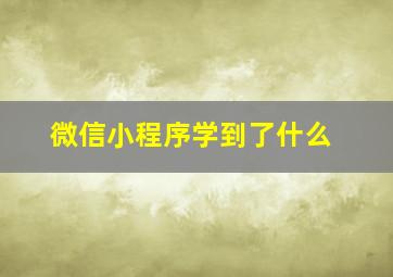 微信小程序学到了什么