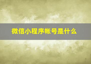 微信小程序帐号是什么