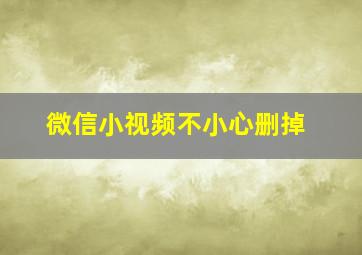 微信小视频不小心删掉