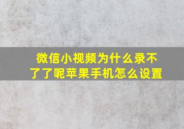 微信小视频为什么录不了了呢苹果手机怎么设置