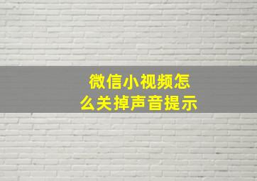 微信小视频怎么关掉声音提示