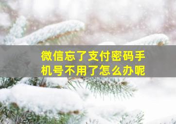 微信忘了支付密码手机号不用了怎么办呢