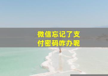 微信忘记了支付密码咋办呢