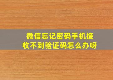 微信忘记密码手机接收不到验证码怎么办呀