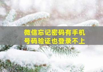 微信忘记密码有手机号码验证也登录不上