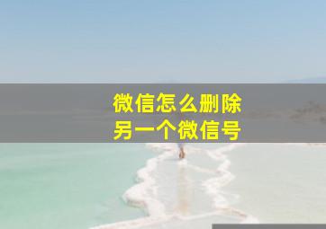 微信怎么删除另一个微信号