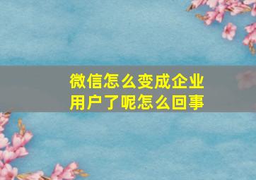 微信怎么变成企业用户了呢怎么回事