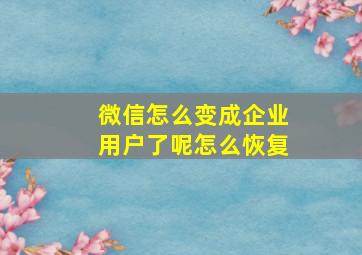 微信怎么变成企业用户了呢怎么恢复