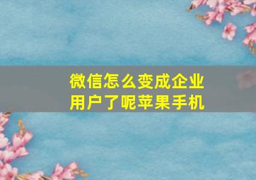 微信怎么变成企业用户了呢苹果手机