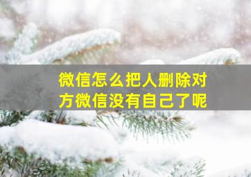 微信怎么把人删除对方微信没有自己了呢