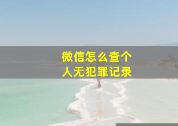 微信怎么查个人无犯罪记录