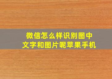 微信怎么样识别图中文字和图片呢苹果手机