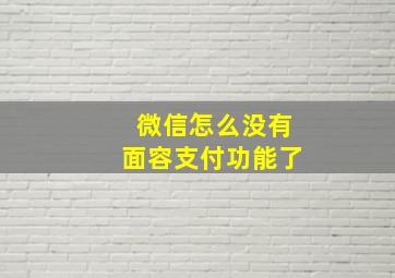 微信怎么没有面容支付功能了