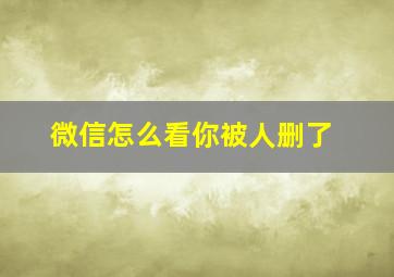 微信怎么看你被人删了