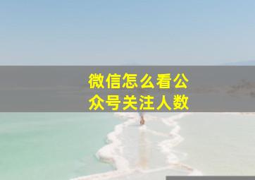 微信怎么看公众号关注人数