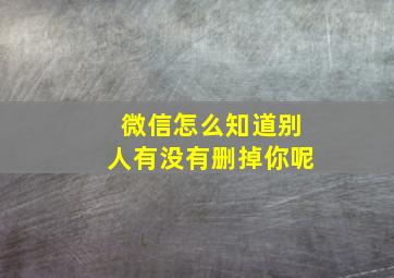 微信怎么知道别人有没有删掉你呢